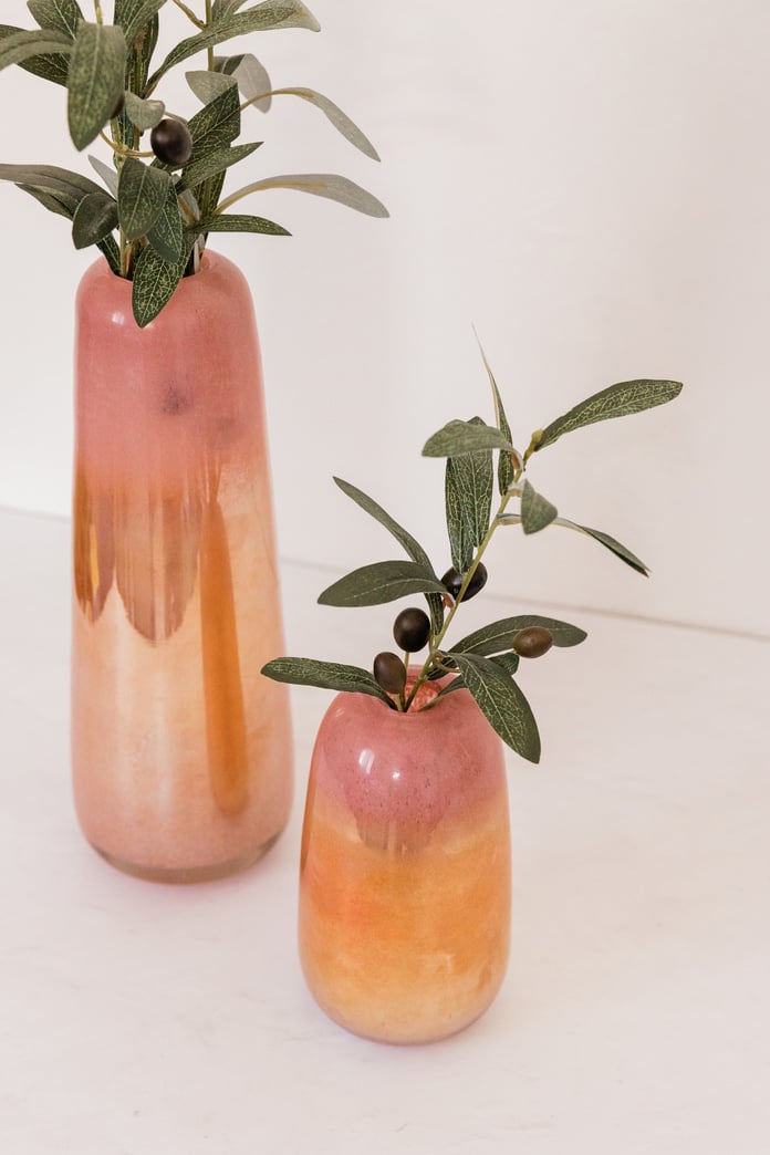 Multicolored Vases with Plants